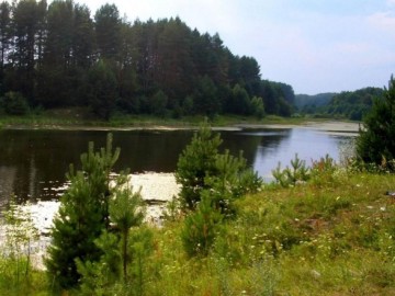 Дополнительные выходные за праздничные дни