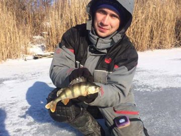 ловля окуня зимой на мормышку