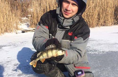 ловля окуня зимой на мормышку