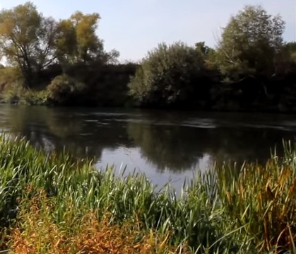 какая рыба водится в упе в тульской области. Смотреть фото какая рыба водится в упе в тульской области. Смотреть картинку какая рыба водится в упе в тульской области. Картинка про какая рыба водится в упе в тульской области. Фото какая рыба водится в упе в тульской области