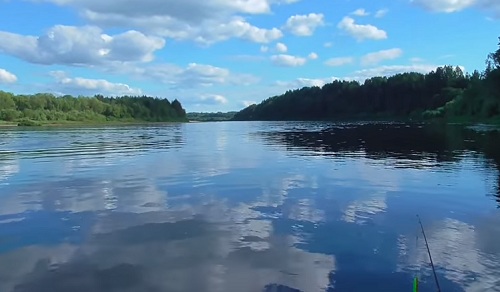 Волга рыбалка в Костромской области