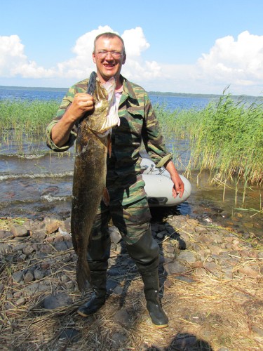 Карелия Ладожское озеро крупная щука рыбалка