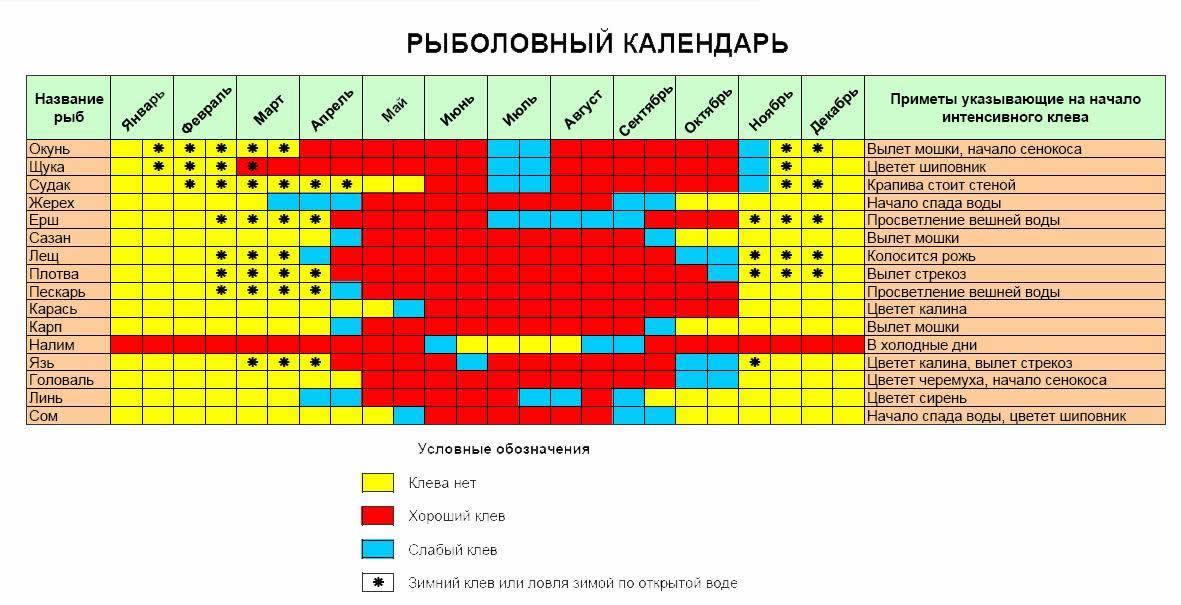 Рыболовный календарь на 2022 для Ростовской области