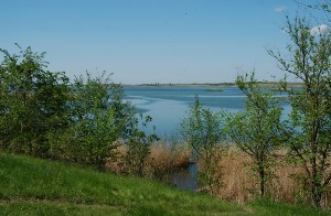 Рыбалка на Маныче Ростовской области