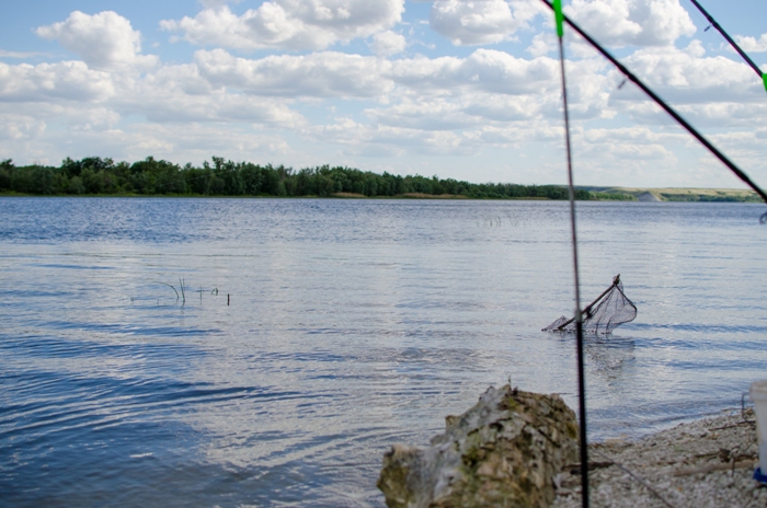 Рыбалка на Дону в Волгоградской области в районе Калач-на-Дону 