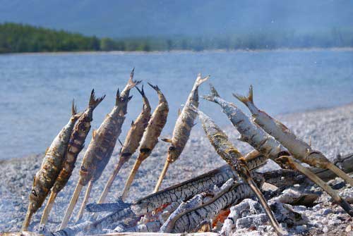 Ловля рыбы на Байкале летом