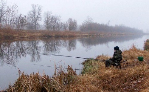 ловля карася в октябре на пруду