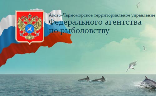 Размеры вылавливаемой рыбы в ростовской области
