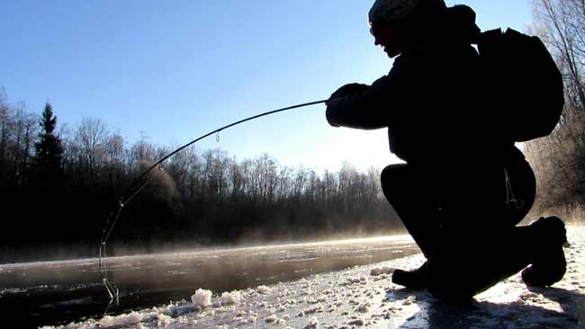 Спиннинг для зимней рыбалки