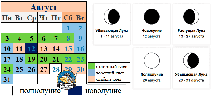 Прогноз клева рыбы в августе 2026 года Рыболовный календарь на август 2026 года