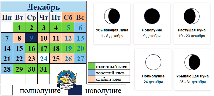 Рыболовный календарь на декабрь 2026 года