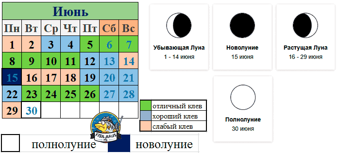 Благоприятные дни для рыбалки в июне