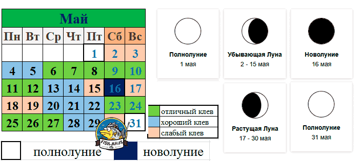 Благоприятные дни для рыбалки в мае 2026 года Благоприятные дни для рыбалки в мае