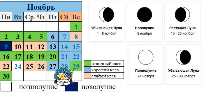 Прогноз клева рыбы в ноябре 2026 года Рыболовный календарь на ноябрь 2026 года