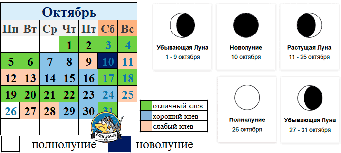 Рыболовный календарь на октябрь 2026 года
