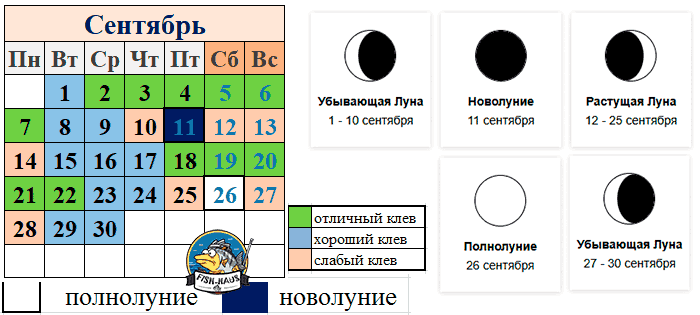 Прогноз клева рыбы в сентябре 2026 года Рыболовный календарь на сентябрь 2026 года