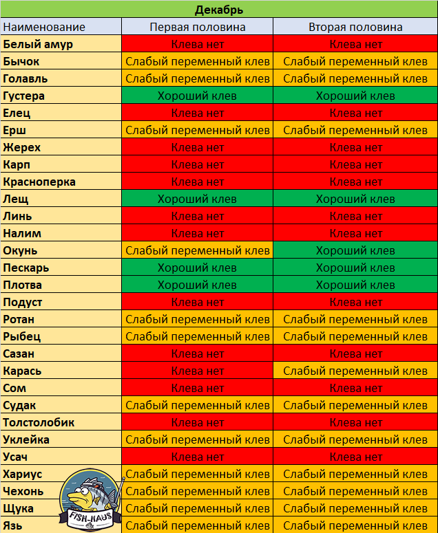 клев рыбы в декабре