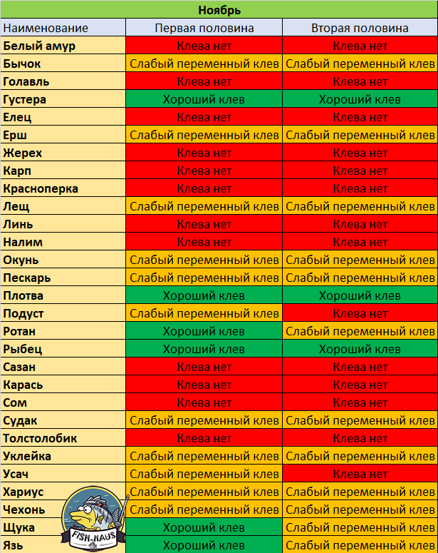 Календарь клева рыбы в ноябре клев рыбы в ноябре