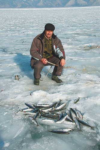 ловля омуля на Байкале
