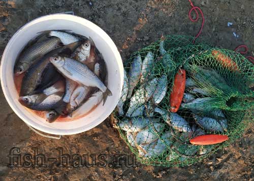 Рыбалка на реке Бузан в мае