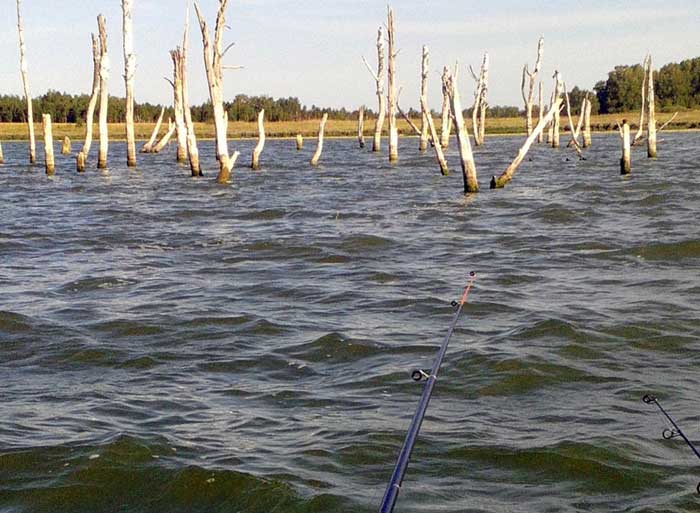 озера в челябинской области для рыбалки на окуня