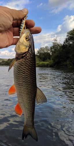 озера челябинской области для рыбалки