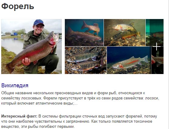 рыба форель фото и описание