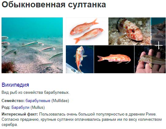 Описание рыбы барабульки