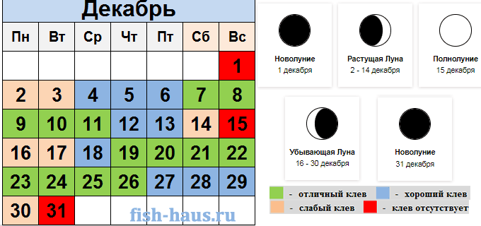 Рыболовный календарь на декабрь 2024 год