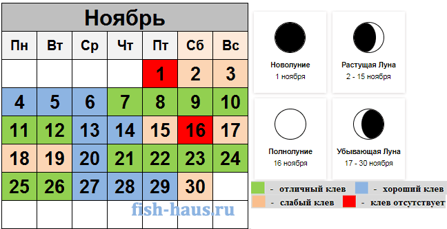Рыболовный календарь на ноябрь 2024 год