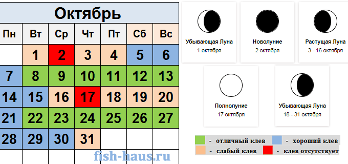 Рыболовный календарь на октябрь 2024 год