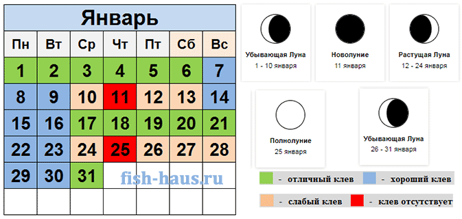 Рыболовный календарь на январь 2024 год