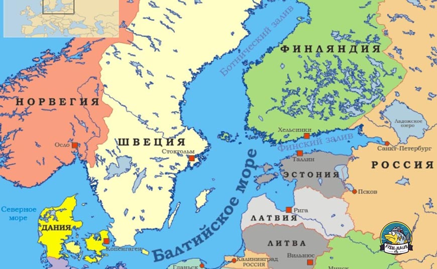 нерестовый запрет в заливах Балтийского моря