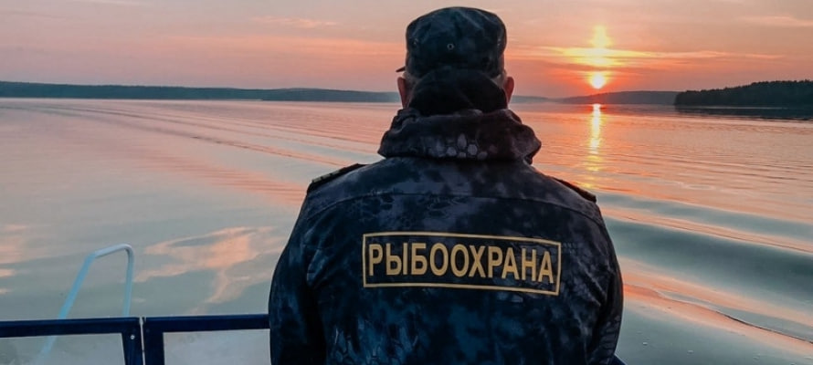 АЧТУ подвело итоги рейдов