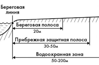 Прокуратура Московской области вернула в общественное пользование береговую полосу